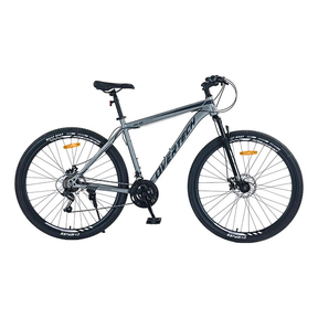 Bicicleta de montaña Overtech R29 Q5 21v Shimano 12x freno de disco