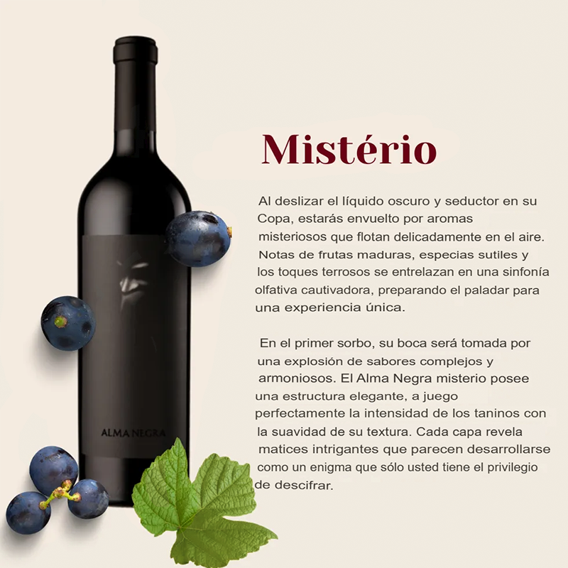 Misterio del Alma Negra x3