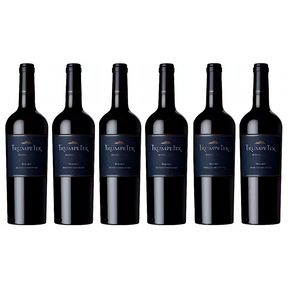(Promoción Cumpleaños 🔥) Vino Trumpeter Malbec 750 ml x6 Unidades