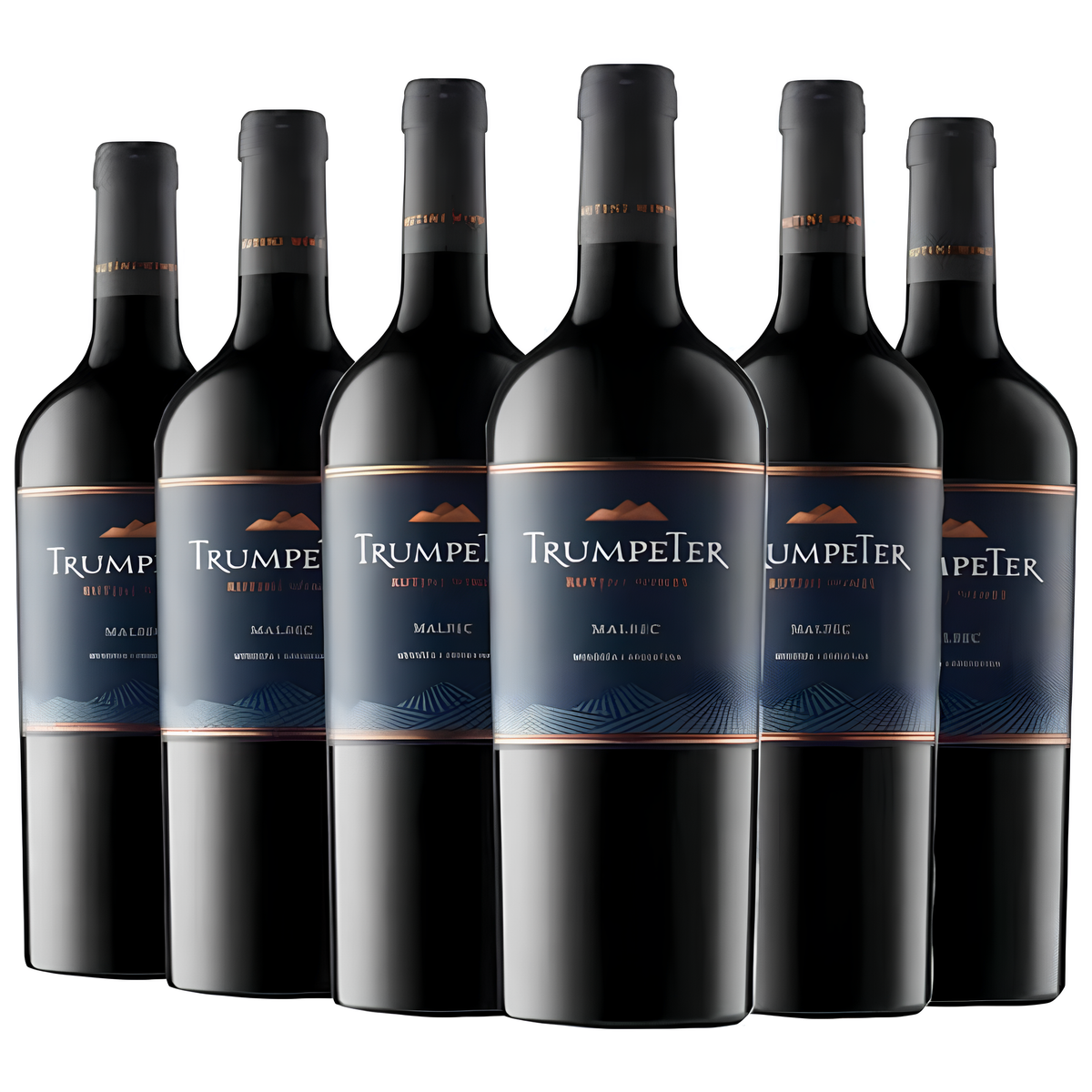 (Promoción de cumpleaños 🔥) Vino Trumpeter Malbec 750 ml x6 Unidades