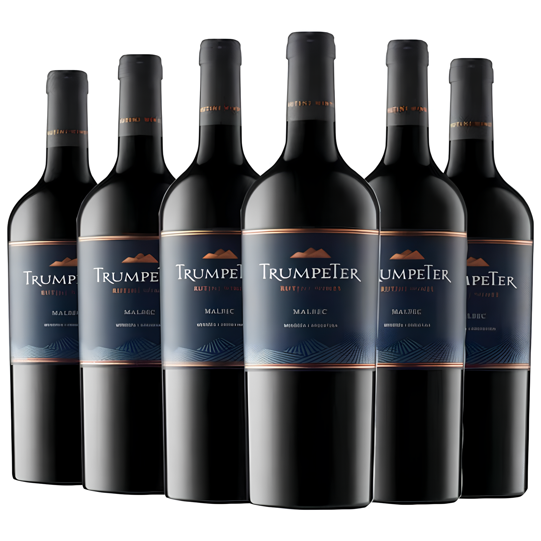 (Promoción Cumpleaños 🔥) Vino Trumpeter Malbec 750 ml x6 Unidades